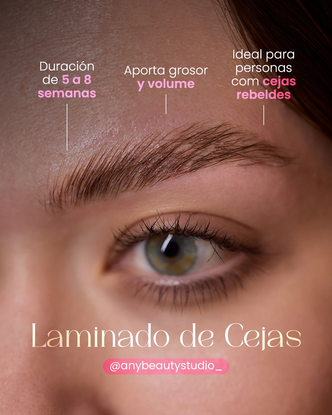 WhatsApp Image 2025-05-05 at 21.46.58